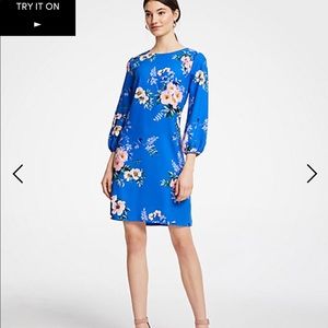 Poppy lantern sleeve shift dress Ann Taylor 4p